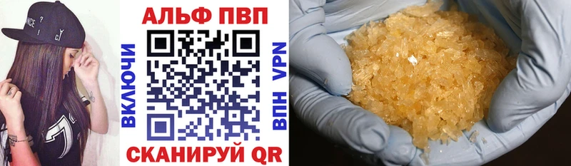 блэк спрут ссылки Будённовск Альфа ПВП крисы CK