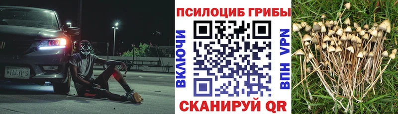 гидра ссылка  Будённовск  Псилоцибиновые грибы прущие грибы  цены наркотик 